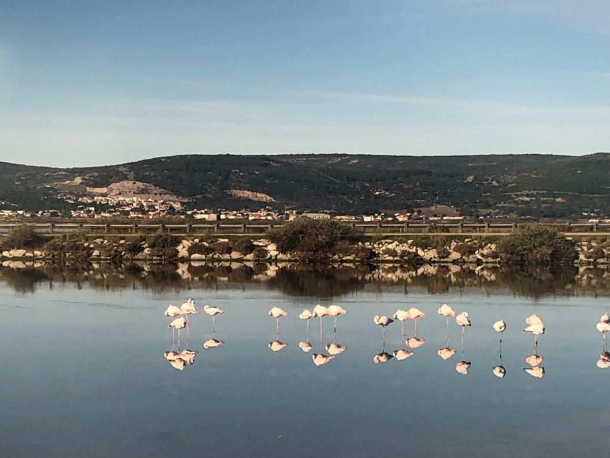 Flamants Roses 3 弗龙蒂尼昂 外观 照片